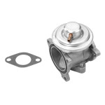 BorgWarner (Wahler) AGR-Ventil