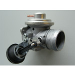 BorgWarner (Wahler) AGR-Ventil