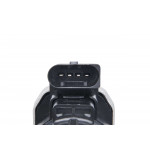 BorgWarner (Wahler) AGR-Ventil