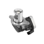 BorgWarner (Wahler) AGR-Ventil