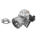 BorgWarner (Wahler) AGR-Ventil