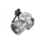 BorgWarner (Wahler) AGR-Ventil