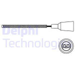 DELPHI Lambdasonde