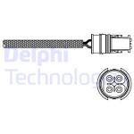 DELPHI Lambdasonde