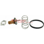 METZGER Thermostat, Kühlmittel