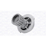 MAGNETI MARELLI Wasserpumpe