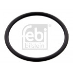 FEBI BILSTEIN Dichtung, Thermostatgehäuse