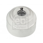 FEBI BILSTEIN Lagerung, Motor