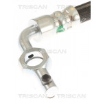TRISCAN Bremsschlauch