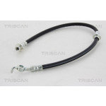 TRISCAN Bremsschlauch
