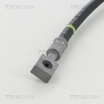 TRISCAN Bremsschlauch