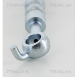 TRISCAN Bremsschlauch