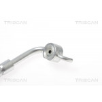 TRISCAN Bremsschlauch
