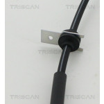 TRISCAN Bremsschlauch