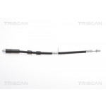 TRISCAN Bremsschlauch