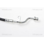 TRISCAN Bremsschlauch