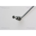 TRISCAN Bremsschlauch