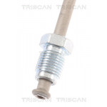 TRISCAN Bremsschlauch