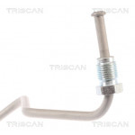 TRISCAN Bremsschlauch