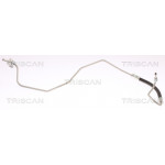 TRISCAN Bremsschlauch