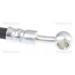 TRISCAN Bremsschlauch