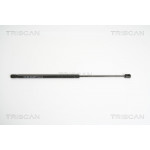 TRISCAN Gasfeder, Koffer-/Laderaum