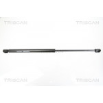 TRISCAN Gasfeder, Heckscheibe
