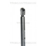 TRISCAN Gasfeder, Heckscheibe