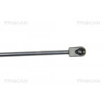 TRISCAN Gasfeder, Heckscheibe