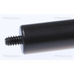 TRISCAN Gasfeder, Motorhaube