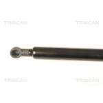 TRISCAN Gasfeder, Koffer-/Laderaum
