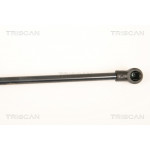TRISCAN Gasfeder, Koffer-/Laderaum