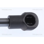 TRISCAN Gasfeder, Koffer-/Laderaum