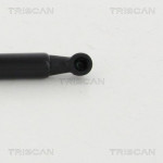 TRISCAN Gasfeder, Koffer-/Laderaum