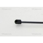 TRISCAN Gasfeder, Koffer-/Laderaum