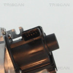 TRISCAN AGR-Ventil