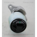 TRISCAN AGR-Ventil