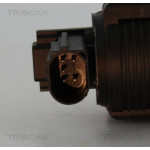 TRISCAN AGR-Ventil