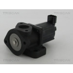 TRISCAN AGR-Ventil