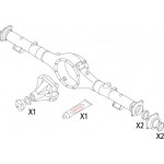CORTECO Dichtungssatz, Differential