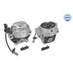 MEYLE Lagerung, Motor