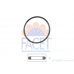 FACET Dichtung, Thermostat