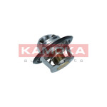 KAMOKA Thermostat, Kühlmittel