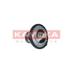 KAMOKA Thermostat, Kühlmittel
