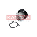 KAMOKA Wasserpumpe