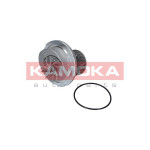 KAMOKA Wasserpumpe