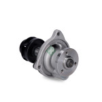 Schaeffler INA Wasserpumpe, Motorkühlung