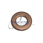 TRUCKTEC AUTOMOTIVE Wärmeschutzscheibe, Einspritzanlage