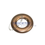 TRUCKTEC AUTOMOTIVE Wärmeschutzscheibe, Einspritzanlage