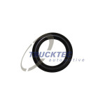 TRUCKTEC AUTOMOTIVE Dichtung, Kraftstoffleitung